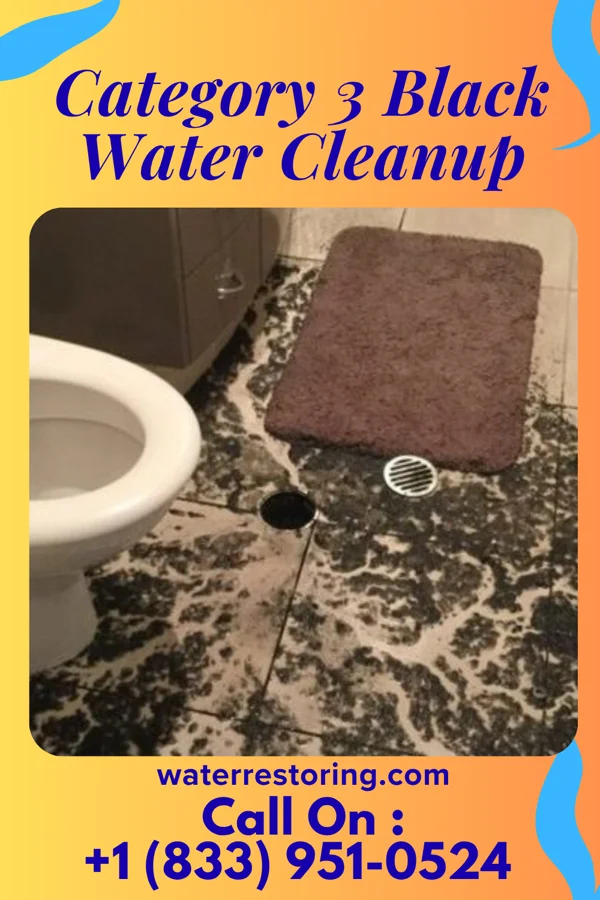 Category 3 Black Water Cleanup in Twin Creeks, MT